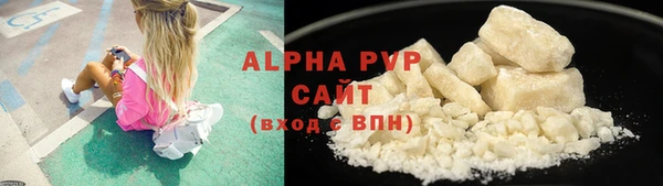 стаф Волоколамск