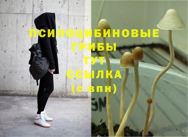 прущий лед Верея
